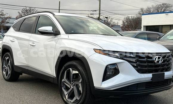 Comprar Usado Hyundai Tucson White Carro em Santa Maria em Sal