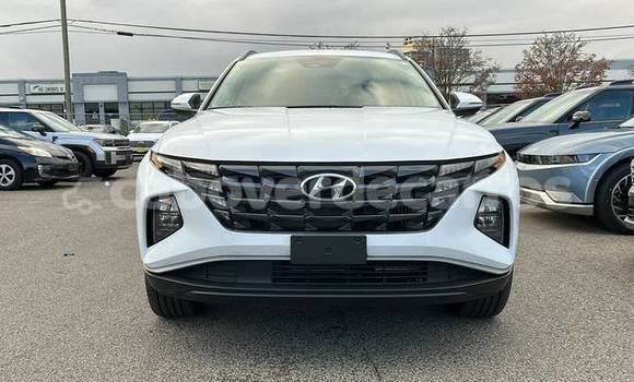 Comprar Usado Hyundai Tucson White Carro em Santa Maria em Sal Comprar Usado Hyundai Tucson White Carro em Santa Maria em Sal