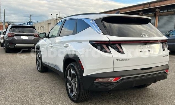 Comprar Usado Hyundai Tucson White Carro em Santa Maria em Sal Comprar Usado Hyundai Tucson White Carro em Santa Maria em Sal