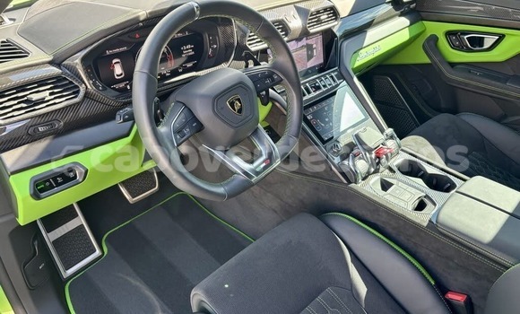 Comprar Usado Lamborghini Urus Green Carro em Santa Maria em Sal Comprar Usado Lamborghini Urus Green Carro em Santa Maria em Sal