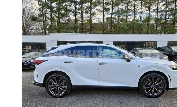 Buy Used Lexus RX 350 White Car in Santa Maria in Sal Buy Used Lexus RX 350 White Car in Santa Maria in Sal