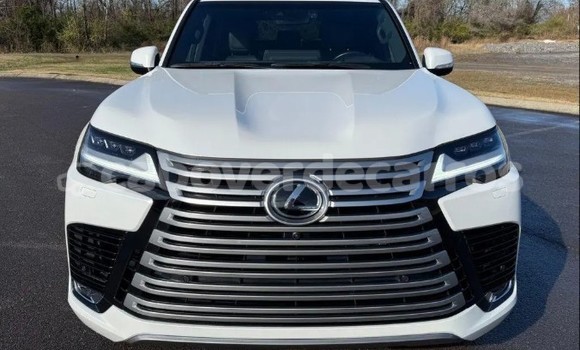 Comprar Usado Lexus LX White Carro em Santa Maria em Sal