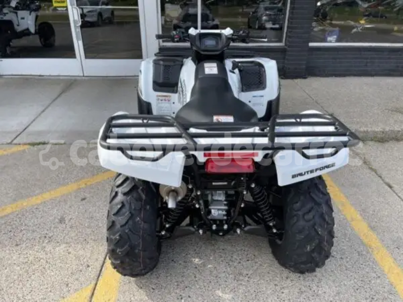 Big with watermark kawasaki brute force sal santa maria 322