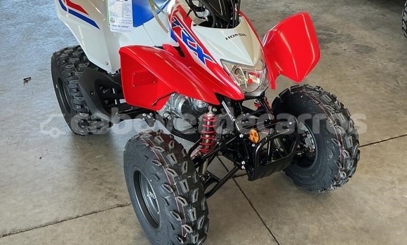 Comprar Novo Honda TRX Other Moto em Santa Maria em Sal