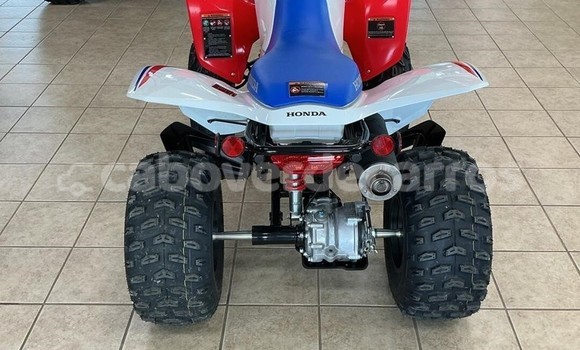 Acheter Neuf Moto Honda TRX Autre à Santa Maria, Sal Acheter Neuf Moto Honda TRX Autre à Santa Maria, Sal