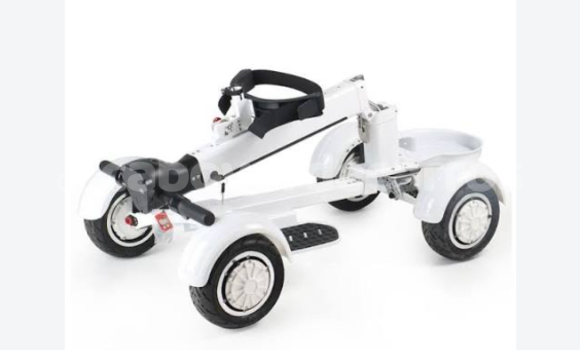 EcoRider G2 Skateboard EcoRider G2 Skateboard