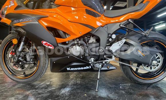 Acheter Occasion Moto Kawasaki Ninja Vert à Santa Maria, Sal Acheter Occasion Moto Kawasaki Ninja Vert à Santa Maria, Sal