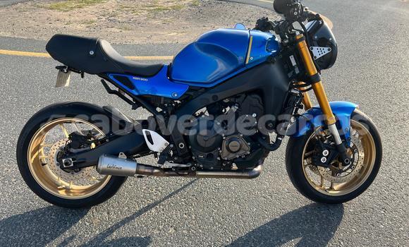 Acheter Occasion Moto Yamaha XSR Bleu à Mosteiros, Fogo Acheter Occasion Moto Yamaha XSR Bleu à Mosteiros, Fogo