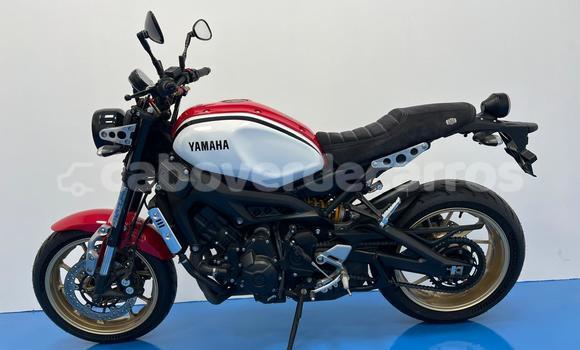 Acheter Occasion Moto Yamaha XSR Rouge à Mosteiros, Fogo Acheter Occasion Moto Yamaha XSR Rouge à Mosteiros, Fogo