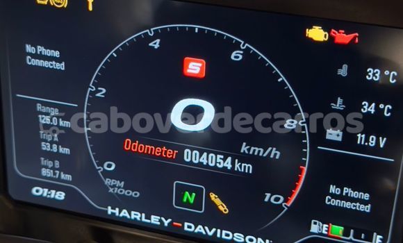 Acheter Occasion Moto Harley Davidson S Noir à Mosteiros, Fogo Acheter Occasion Moto Harley Davidson S Noir à Mosteiros, Fogo