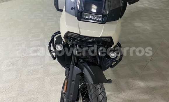 Buy Used Harley Davidson Dyna Other Bike in Mosteiros in Fogo Buy Used Harley Davidson Dyna Other Bike in Mosteiros in Fogo