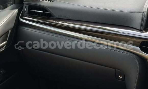 Acheter Occasion Voiture Lexus LX 570 Blanc à Santa Maria, Sal Acheter Occasion Voiture Lexus LX 570 Blanc à Santa Maria, Sal