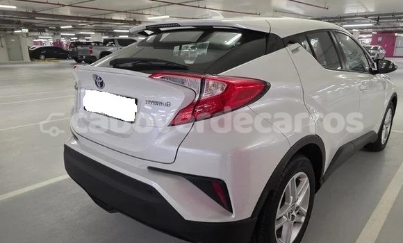 Comprar Usado Toyota C-HR White Carro em Santa Maria em Sal Comprar Usado Toyota C-HR White Carro em Santa Maria em Sal