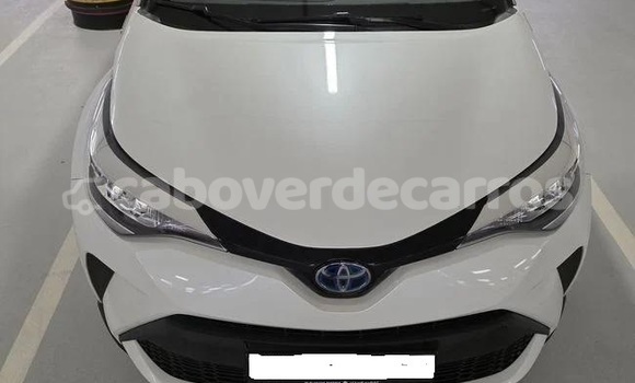 Comprar Usado Toyota C-HR White Carro em Santa Maria em Sal Comprar Usado Toyota C-HR White Carro em Santa Maria em Sal