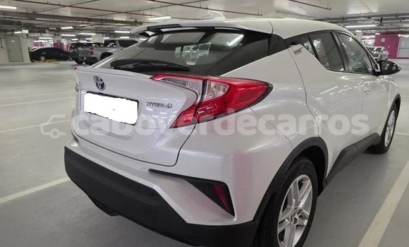 Comprar Usado Toyota C-HR White Carro em Santa Maria em Sal Comprar Usado Toyota C-HR White Carro em Santa Maria em Sal