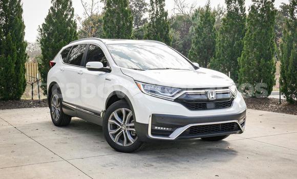 Comprar Usado Honda CR-V White Carro em Sao Filipe em Fogo