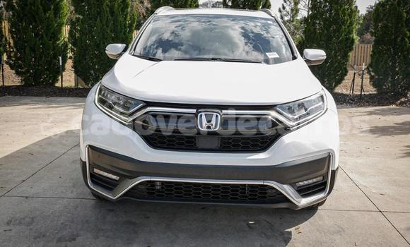 Comprar Usado Honda CR-V White Carro em Sao Filipe em Fogo Comprar Usado Honda CR-V White Carro em Sao Filipe em Fogo