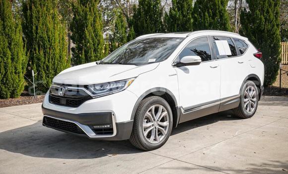 Comprar Usado Honda CR-V White Carro em Sao Filipe em Fogo Comprar Usado Honda CR-V White Carro em Sao Filipe em Fogo