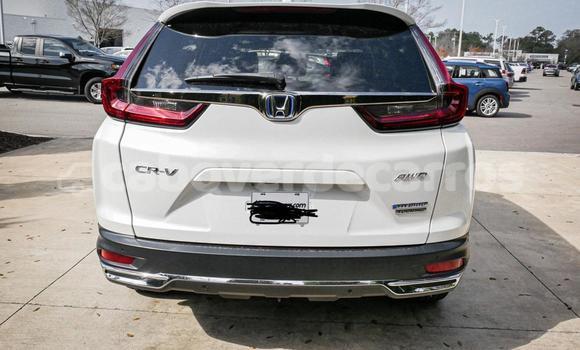 Comprar Usado Honda CR-V White Carro em Sao Filipe em Fogo Comprar Usado Honda CR-V White Carro em Sao Filipe em Fogo