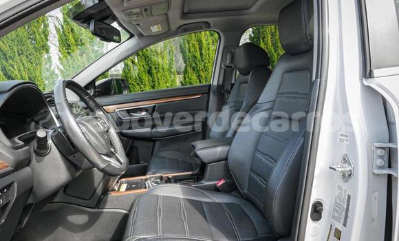Comprar Usado Honda CR-V White Carro em Sao Filipe em Fogo Comprar Usado Honda CR-V White Carro em Sao Filipe em Fogo